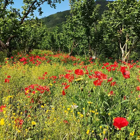 Farm stay Barone Antonio Negri
